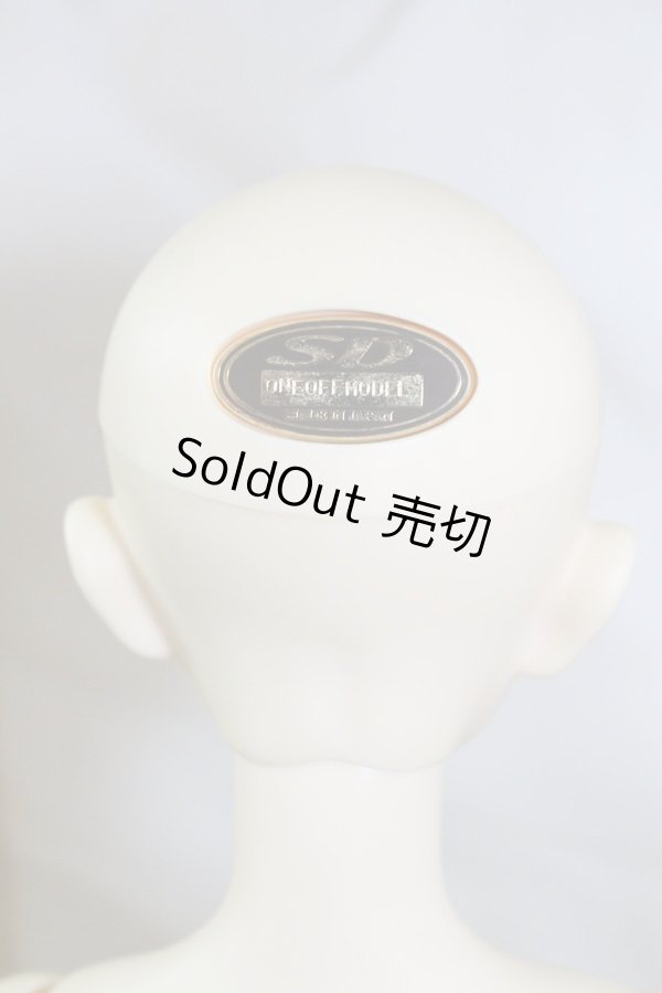 画像7: SD13B/F-35ワンオフmayura様 U-23-11-15-214-TN-ZU (7)