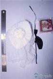 画像2: MSD&SDM/OF：小物セット U-24-11-05-031-TN-ZU (2)
