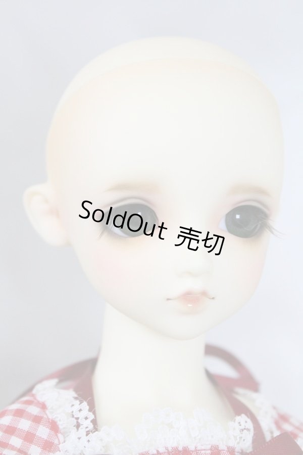 画像4: SDGIRL/リーゼロッテ 1st U-24-04-03-219-KN-ZU (4)