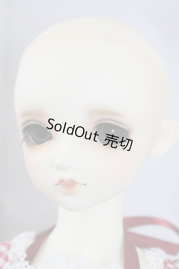 画像5: SDGIRL/リーゼロッテ 1st U-24-04-03-219-KN-ZU (5)