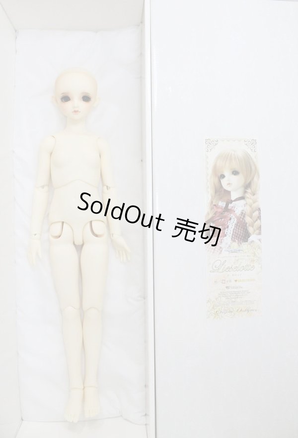 画像9: SDGIRL/リーゼロッテ 1st U-24-04-03-219-KN-ZU (9)