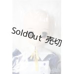 画像: 1/3HAF ToHeart2 HMX-17aイルファ Y-24-11-16-264-TN-ZY
