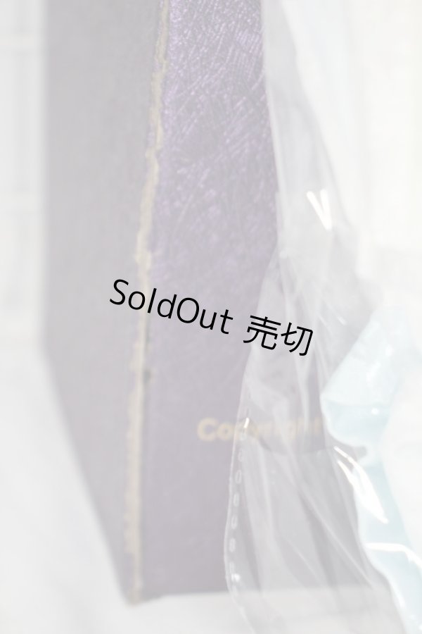 画像9: Ringdoll/魔道祖師×RINGDOLL 藍忘機 Lan Wangji Fullset Y-24-02-14-001-TN-ZY (9)