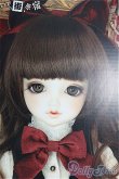 画像1: 【SALE】SD/リーゼロッテ he Best of the BESTs ver I-24-08-25-1001-TO-ZI (1)