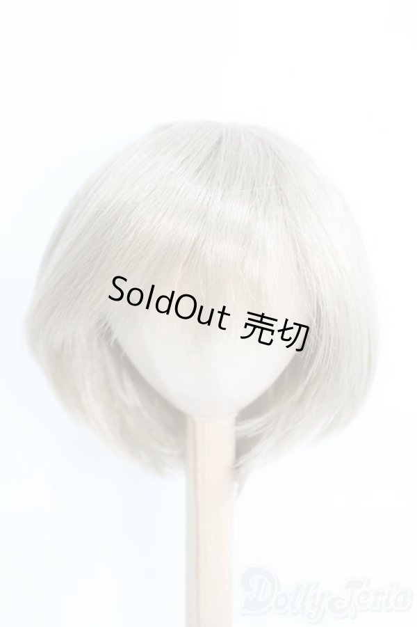 画像1: 9〜10inch/ウィッグ/インチ　BJD　MJD　ドール用 I-25-07-06-2043-TO-ZI (1)