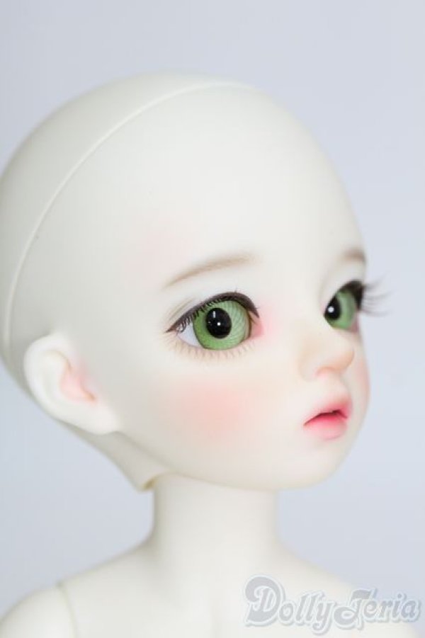 画像3: DOLLITS/Byuri[D.B.D]/ I-25-10-19-399-TO-ZI (3)