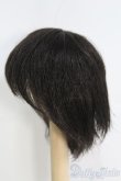 画像2: 7〜8inch/ウィッグ I-25-04-20-3015-TO-ZI (2)