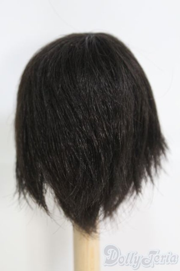 画像3: 7〜8inch/ウィッグ I-25-04-20-3015-TO-ZI (3)