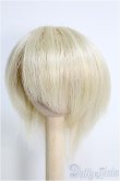 画像1: 【SALE】7〜8inch/ウィッグ I-24-12-01-3024-TO-ZI (1)