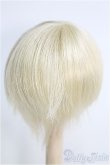 画像2: 【SALE】7〜8inch/ウィッグ I-24-12-01-3024-TO-ZI (2)