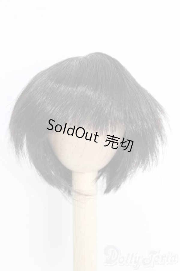 画像1: 7〜8inch/ウィッグ I-25-05-11-3022-TO-ZI (1)