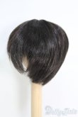 画像2: 7〜8inch/ウィッグ I-25-05-11-3022-TO-ZI (2)