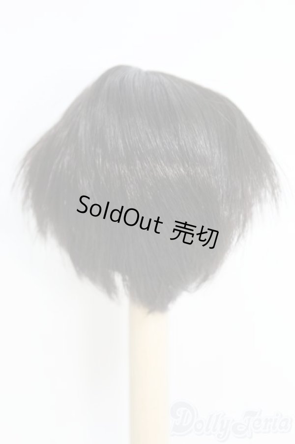 画像3: 7〜8inch/ウィッグ I-25-05-11-3022-TO-ZI (3)