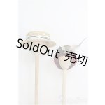 画像: SD/OF:帽子2点セット I-25-02-09-3119-TN-ZI