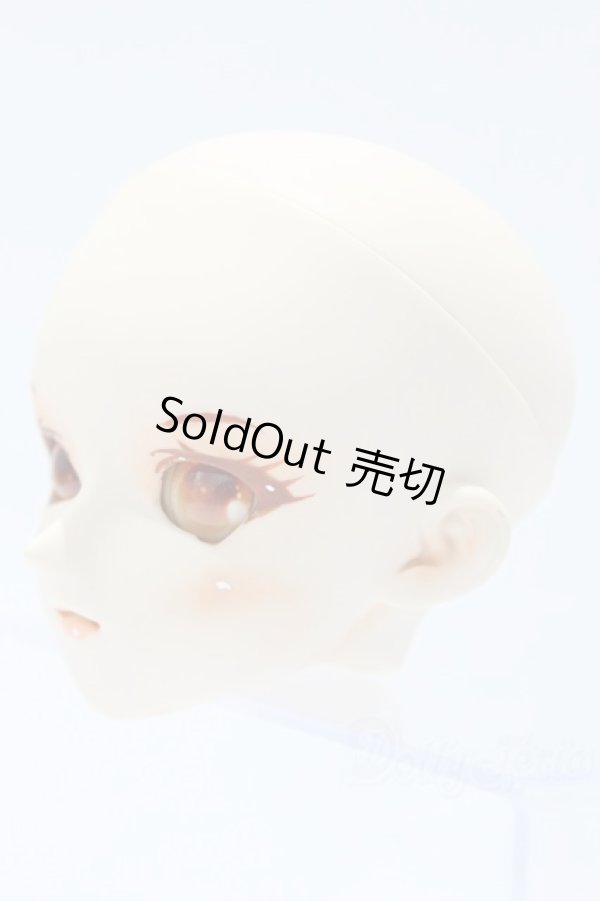 画像2: DD/カスタムメイクヘッド（DDH-05） S-25-11-02-004-TO-ZS (2)