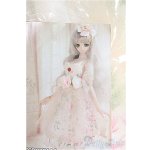 画像: DD/OF Light Cantarella：CODENOIR製 I-25-03-16-2065-TO-ZI