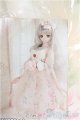 画像: DD/OF Light Cantarella：CODENOIR製 I-25-03-16-2065-TO-ZI
