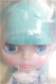 画像1: 【SALE】ネオブライス/ウィッシュフルブライス&スターダストシナモロール I-24-10-13-1016-TO-ZI (1)