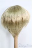画像2: 【SALE】9〜10inch/ウィッグ I-24-11-03-3056-TO-ZI (2)