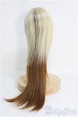 画像2: 【SALE】7〜8inch/ウィッグ I-24-11-24-3040-TO-ZI (2)