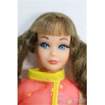 画像: 【SALE】スキッパー/本体+衣装 I-24-09-01-1114-TO-ZI