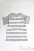 画像1: SDGr/OF：Tシャツ（月ル陽工房製） I-25-04-13-3049-TO-ZI (1)