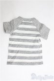 画像2: SDGr/OF：Tシャツ（月ル陽工房製） I-25-04-13-3049-TO-ZI (2)