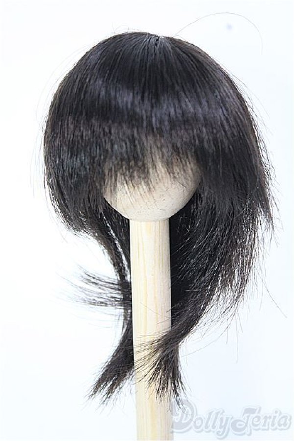 画像1: 【SALE】7〜8inch/ウィッグ I-24-12-29-2036-TO-ZI (1)