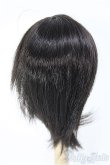 画像2: 【SALE】7〜8inch/ウィッグ I-24-12-29-2036-TO-ZI (2)