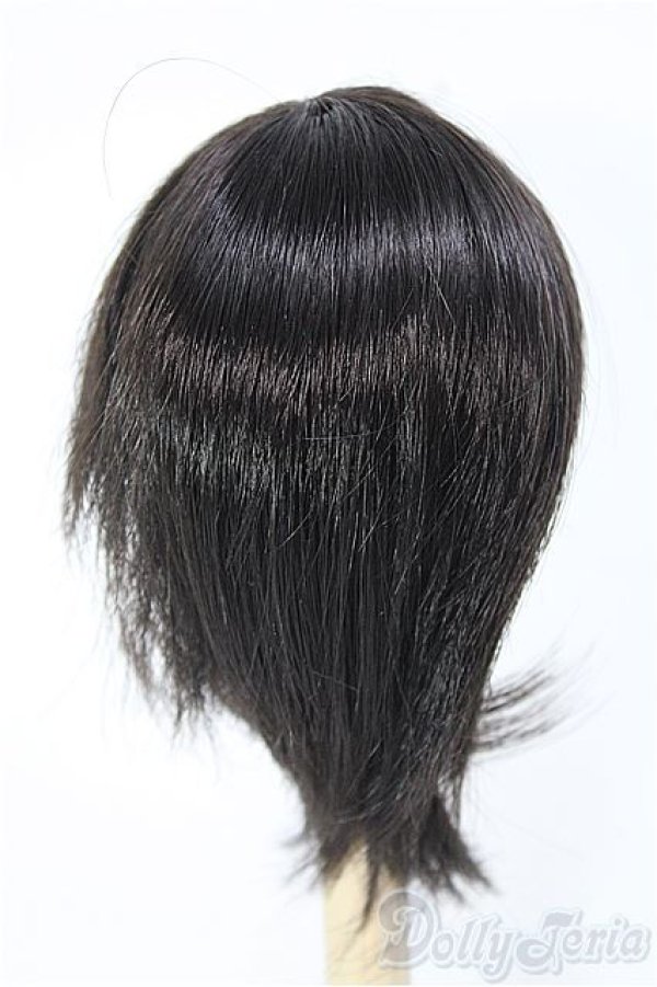 画像2: 【SALE】7〜8inch/ウィッグ I-24-12-29-2036-TO-ZI (2)