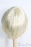 画像2: 9inch/ウィッグ I-25-01-12-2047-TO-ZI (2)