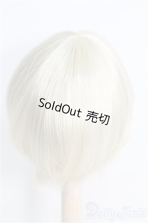 画像2: 9inch/ウィッグ I-25-01-12-2047-TO-ZI (2)