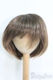 画像1: ウィッグ/9-10inch I-25-05-18-2041-TN-ZI (1)