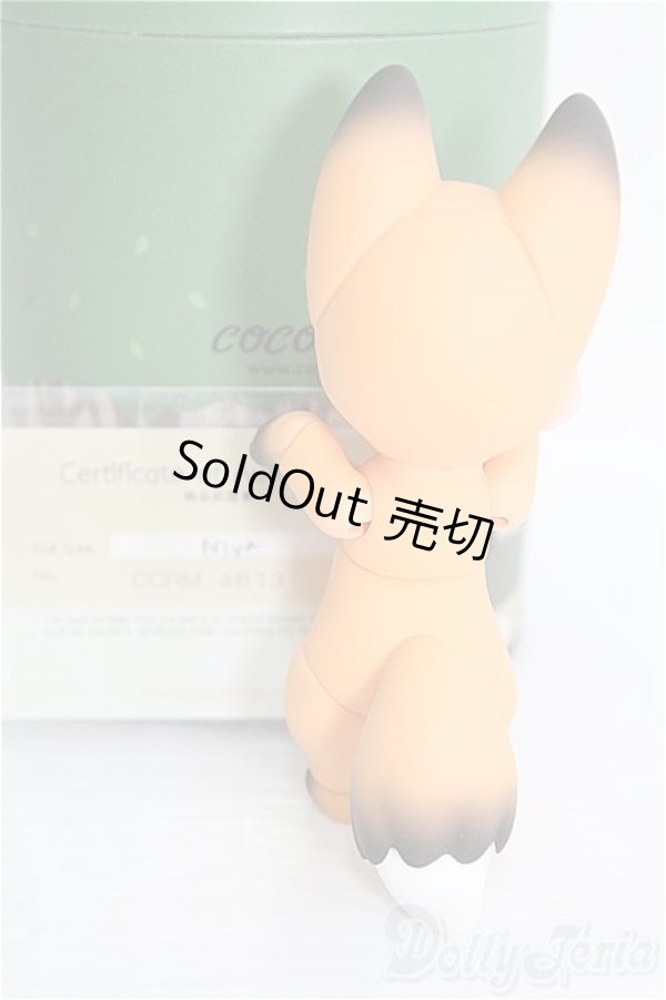 画像5: COCORIANG/Niya　orange skin I-25-01-26-1004-TO-ZI (5)