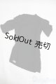 画像: SD/OF Tシャツ I-25-05-18-2068-TO-ZI