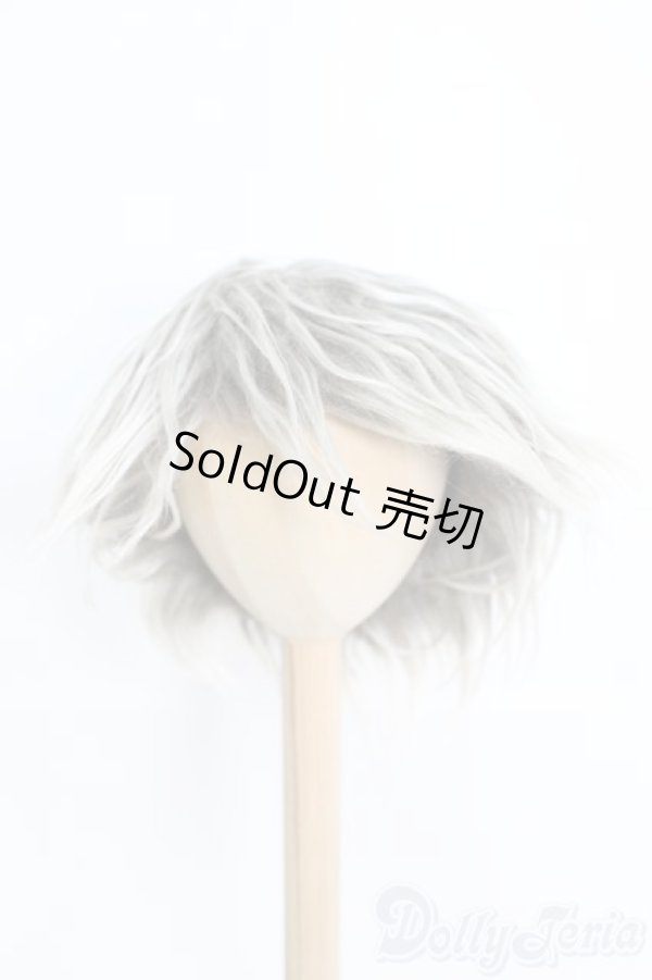 画像3: 9〜10inchボアウィッグ2点セット/インチ　BJD　MJD　ドール用 I-25-07-06-2031-TN-ZI (3)