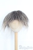 画像1: 8〜9inch/ウィッグ I-25-05-25-2021-TO-ZI (1)