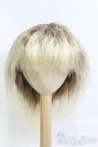 画像1: 8〜9inch/ウィッグ I-25-05-18-2048-TO-ZI (1)