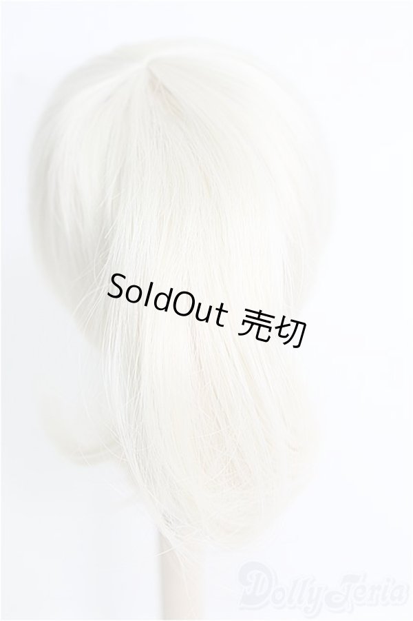 画像2: 8〜9inch/ウィッグ I-25-02-09-2023-GN-ZI (2)