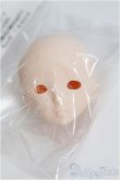 画像1: パラボックス/グレイスヘッド I-25-03-23-1047-TN-ZI (1)
