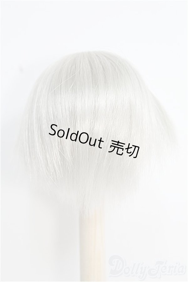 画像3: 8inchウィッグ I-25-01-26-2039-TN-ZI (3)