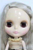 画像2: 【SALE】ネオブライス/カプチーノチャット I-24-10-27-1011-TO-ZI (2)