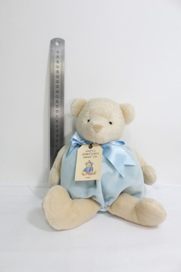 画像1: Noｒｔh American Bear Baby I-24-02-18-4041-TN-ZI (1)