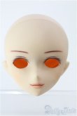 画像1: PARABOX/PB45-01ヘッド：カスタムメイク I-25-05-04-1083-TO-ZI (1)