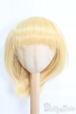 画像1: 9〜10inch/bluekangarooo様製：ウィッグ I-25-06-01-2040-TO-ZI (1)