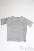 画像1: SD17BOY/OF Tシャツ：silver butterfly様製 I-25-04-13-3045-TO-ZI (1)