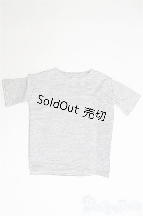 画像1: SD17BOY/OF Tシャツ：silver butterfly様製 I-25-04-13-3045-TO-ZI (1)