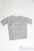 画像2: SD17BOY/OF Tシャツ：silver butterfly様製 I-25-04-13-3045-TO-ZI (2)