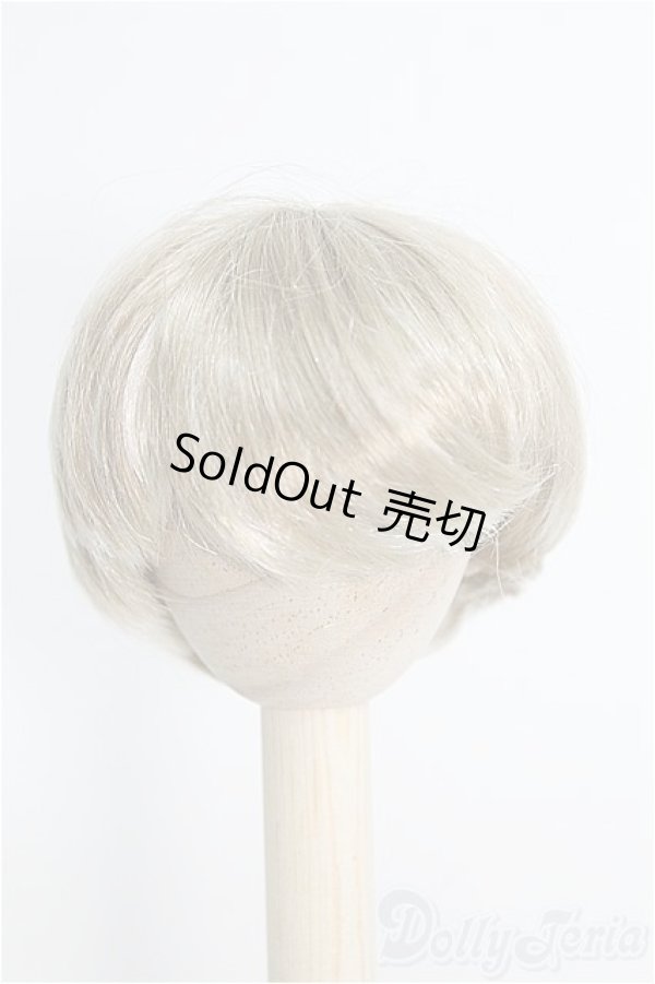 画像1: 【SALE】7〜8inch/ウィッグ I-25-01-05-3040-TO-ZI (1)