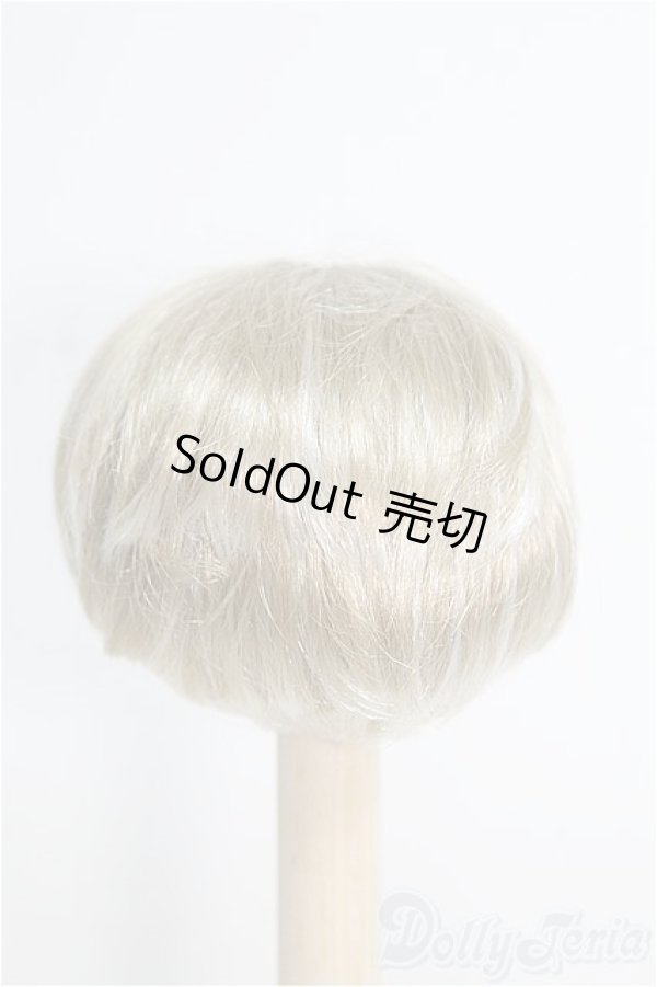 画像3: 【SALE】7〜8inch/ウィッグ I-25-01-05-3040-TO-ZI (3)